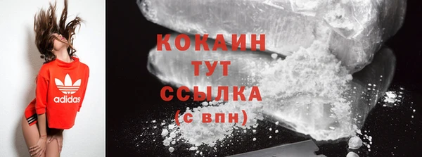 гидропоника Гусев