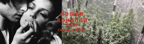 гидропоника Гусев
