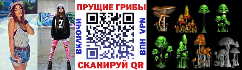 kraken сайт  Волоколамск  Псилоцибиновые грибы MAGIC MUSHROOMS 