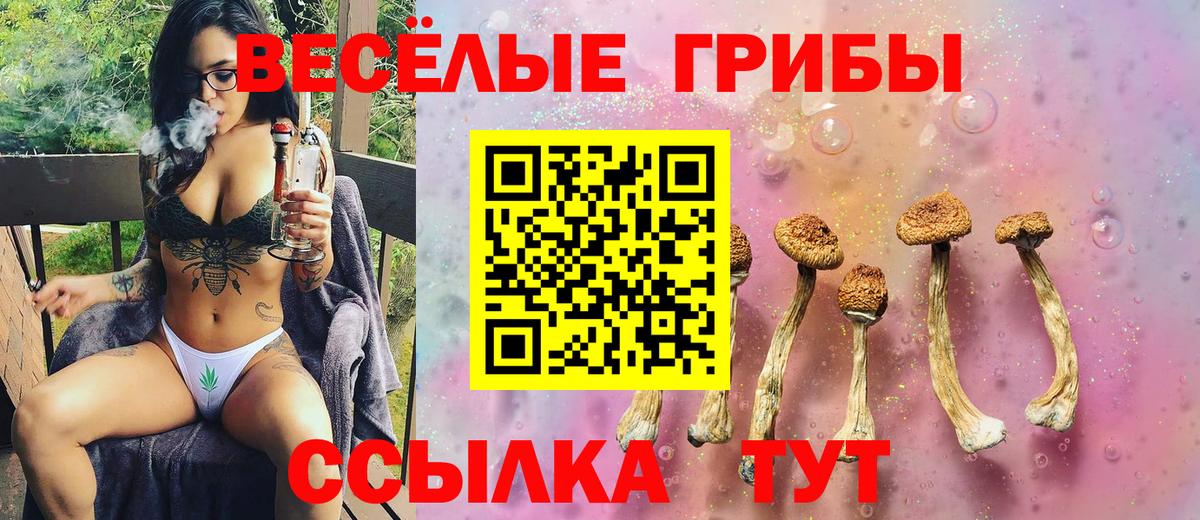 A PVP Волоколамск