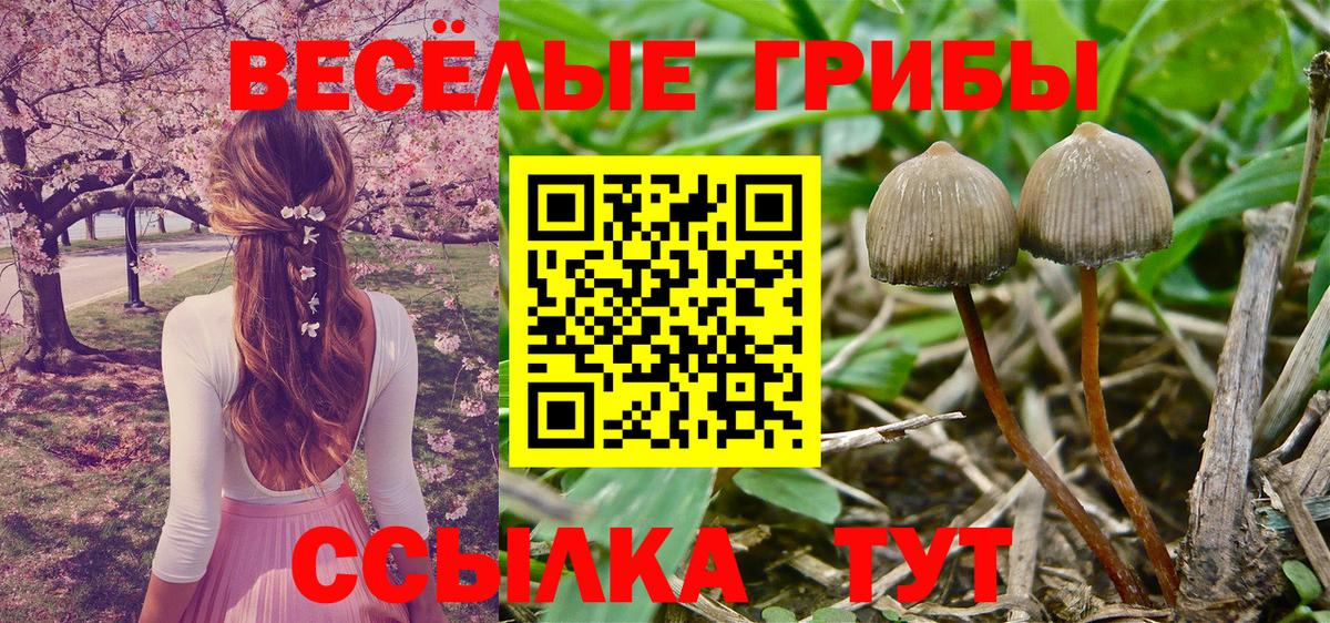 Псилоцибиновые грибы Psilocybine cubensis  Вход с VPN  Галлюциногенные грибы Psilocybe  Волоколамск 