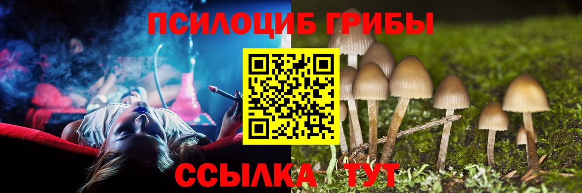 Галлюциногенные грибы GOLDEN TEACHER Волоколамск
